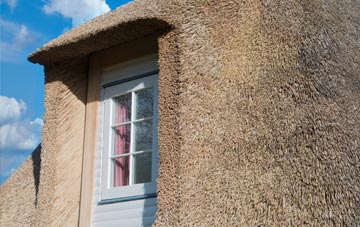Bolingey thatch roof disadvantages